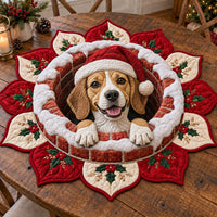 Beagle Chimney NCU0SN004